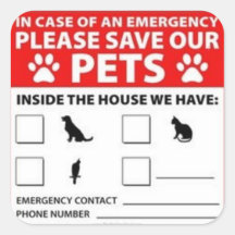 Animal de estimação dentro do alerta