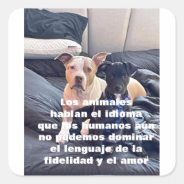 Adesivo Quadrado animal lenguaje