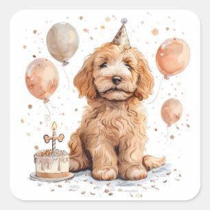 Adesivo Quadrado Aniversário Goldendoodle Cog Bolo de Aniversário