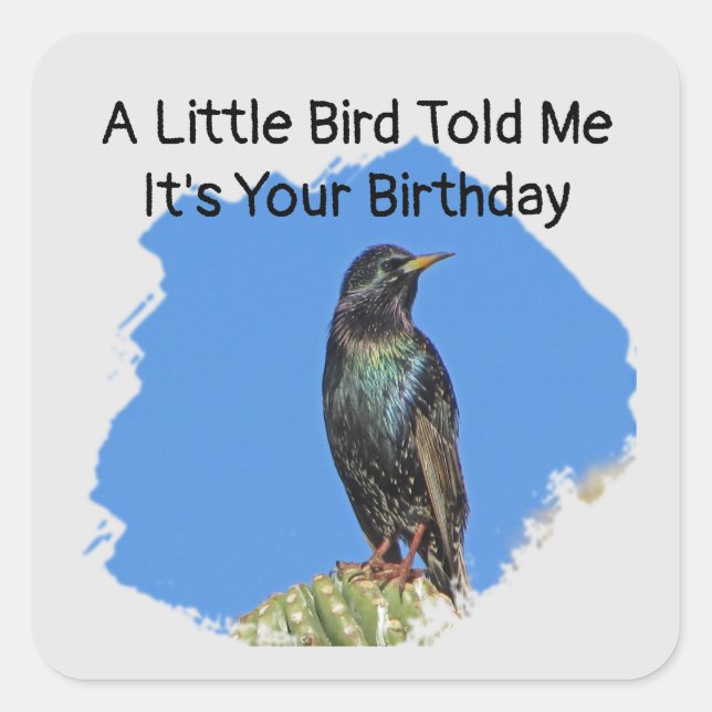 Adesivo Quadrado Aniversário Humoroso Deseja Inaugurar Foco (Frente)