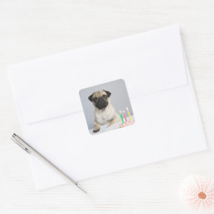 Adesivo Quadrado Aniversário Pug