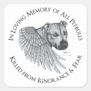 Adesivo Quadrado Anjo de Zeus