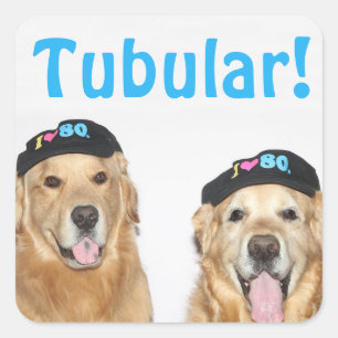 Adesivo Quadrado Anos 80 tubular do golden retriever
