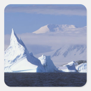 Adesivo Quadrado Antártica, Ilha Boothe, Sol da tarde