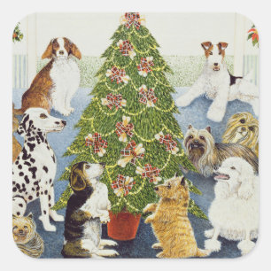 Adesivo Quadrado Antecipação