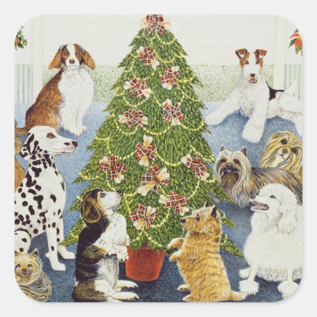 Adesivo Quadrado Antecipação (Frente)