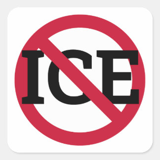 Adesivo Quadrado Anti ICE Sticker