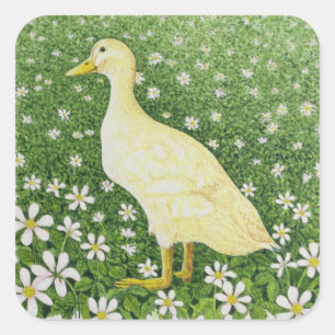 Adesivo Quadrado Apenas olhando