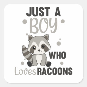 Adesivo Quadrado Apenas Um Menino Que Ama Racoons Kawaii Raccoon