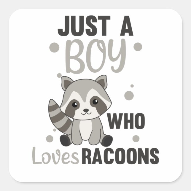 Adesivo Quadrado Apenas Um Menino Que Ama Racoons Kawaii Raccoon (Frente)