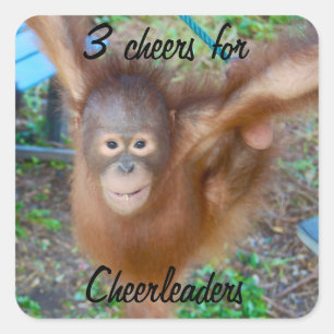 Adesivo Quadrado Aplausos para Cheerleaderes