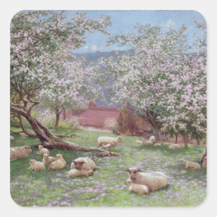 Adesivo Quadrado Appleblossom