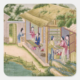 Adesivo Quadrado Aprendizagem sobre bichos-da-seda