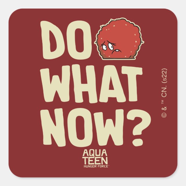 Adesivo Quadrado Aqua Teen Hunger Force Meatwad "Do What Now?" (Frente)