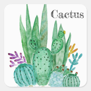 Adesivo Quadrado Aquarela de cactus cactos flores floral deserto il