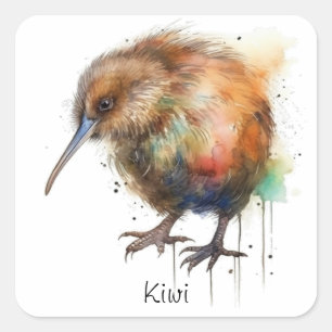 Adesivo Quadrado Aquarela neozelandesa Kiwi personalizável