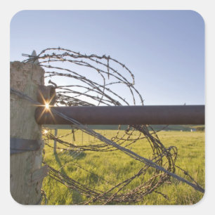 Adesivo Quadrado Arame farpado rolado acima no fencerow próximo