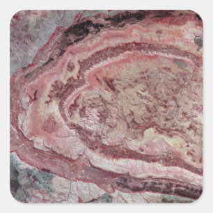 Adesivo Quadrado Aranha-Aranha, Austrália Ocidental