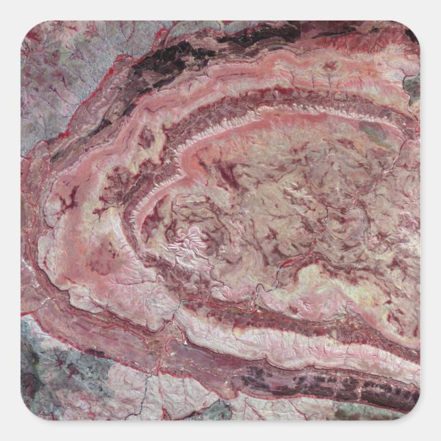 Adesivo Quadrado Aranha-Aranha, Austrália Ocidental (Frente)