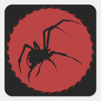 Aranha de Viúva Negra