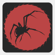 Aranha de Viúva Negra