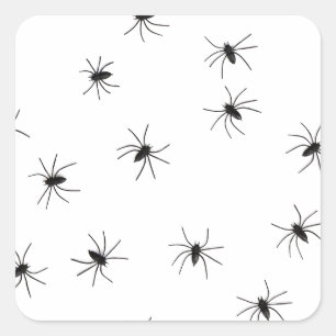 Adesivo Quadrado Aranhas Crawly assustadoras