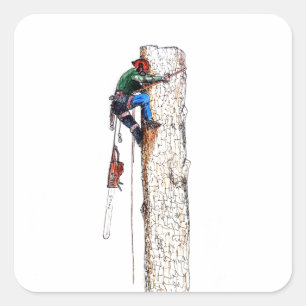 Adesivo Quadrado Arborist do cirurgião de árvore
