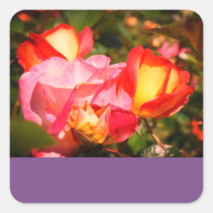 Adesivo Quadrado Arco-Íris Rosa nº 2