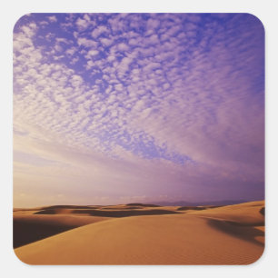 Adesivo Quadrado Área de Recreação Nacional das Dunas de Oregon, Or