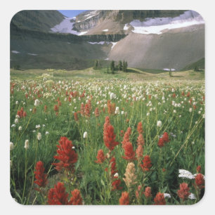 ADESIVO QUADRADO ÁREA SILVESTRE DE MOUNT TIMPANOGOS, UT, EUA,