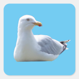 Adesivo Quadrado Arenque Gull Banho do Sol