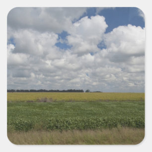 Adesivo Quadrado Argentina, Buenos Aires, San Antonio de Areco.