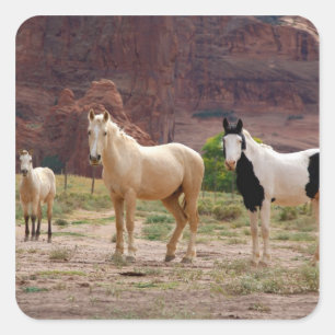 Adesivo Quadrado Arizona, Reserva Indiana Navajo, Chinle,