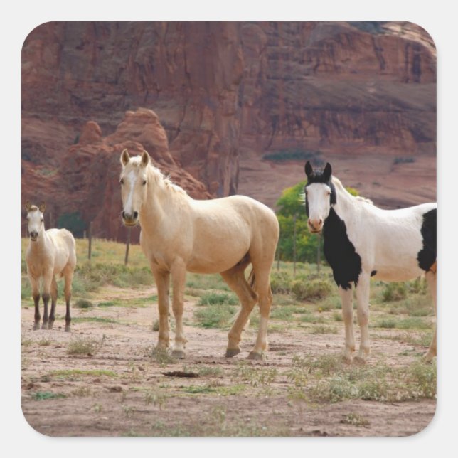 Adesivo Quadrado Arizona, Reserva Indiana Navajo, Chinle, (Frente)