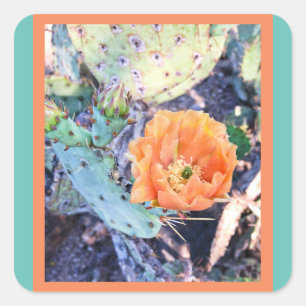 Adesivo Quadrado Arizonas de Cactus
