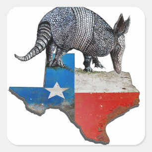 Adesivo Quadrado Armadillo Texas - Mapa de Sinalizador do Estado do