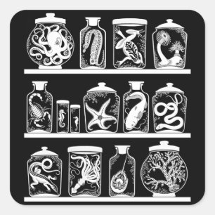 Adesivo Quadrado Armário da curiosidade do OPUS