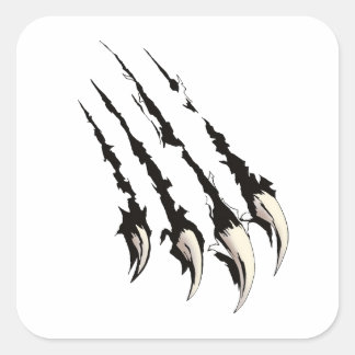 Adesivo Quadrado Arranhão-Garras - Animal Misterioso