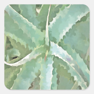 Adesivo Quadrado Arte acrílica incrível Aloe Vera