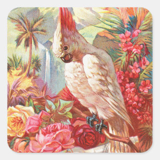 Adesivo Quadrado Arte Botânica Vintage de Cacatua e Rosa Tropical