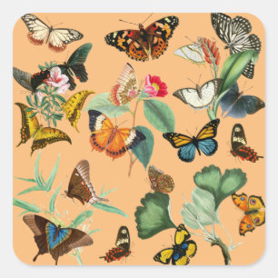 Adesivo Quadrado Arte da Borboleta Vintage, Fundo Laranja Amarelo