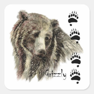Adesivo Quadrado Arte da natureza dos animais selvagens do urso de