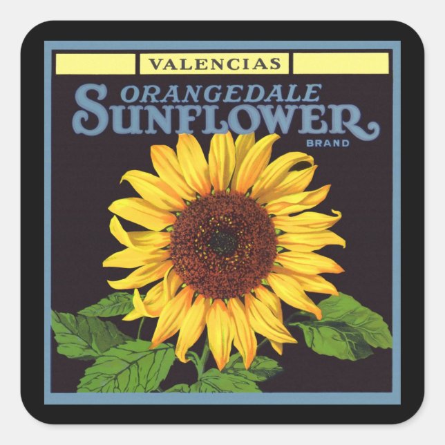 Adesivo Quadrado Arte de rótulo de caixa de frutas vintage Orangeda (Frente)