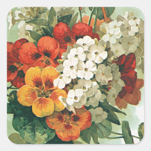 Adesivo Quadrado Arte do cobrir do catálogo de semente de Eastman