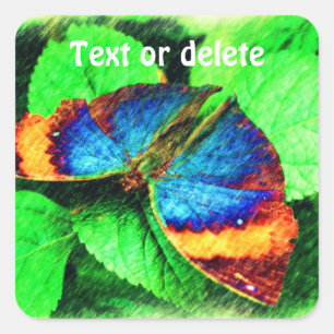 Adesivo Quadrado Arte do Lápis Azul Personalizada