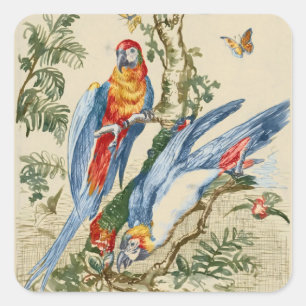 Adesivo Quadrado Arte Fina de Papagaio Tropical e Borboleta Antiga