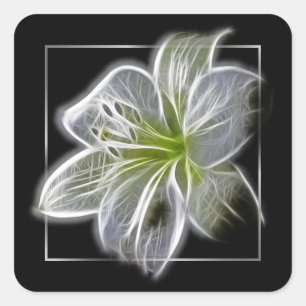 Adesivo Quadrado Arte Fractal de Lírio Branco Deslumbrante Preto