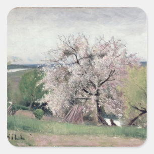 Adesivo Quadrado Árvore de fruta na flor, Bois-le-Roi