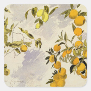 Adesivo Quadrado Árvores alaranjadas, 1863 (w/c, caneta e tinta