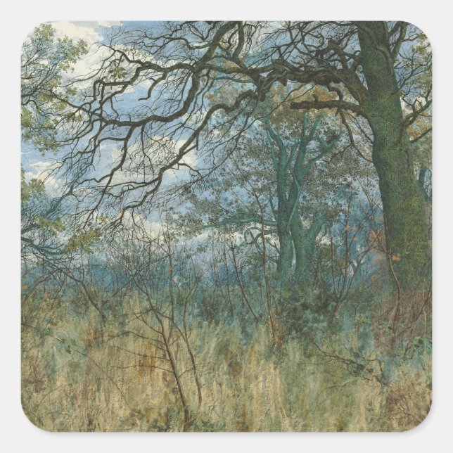 Adesivo Quadrado Árvores e Sub-crescimento - William Fraser Garden (Frente)